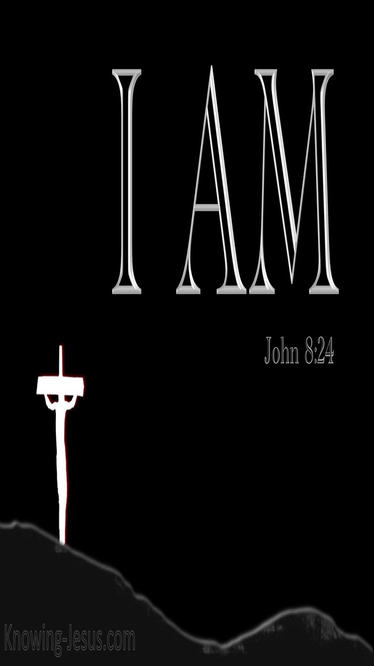 John 8:24 Believe that I AM (black)